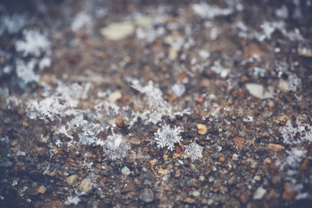 Snowflake on groundの写真素材