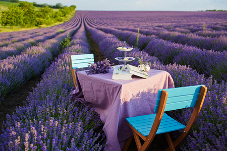 Table decoration in lavender flowers.の写真素材