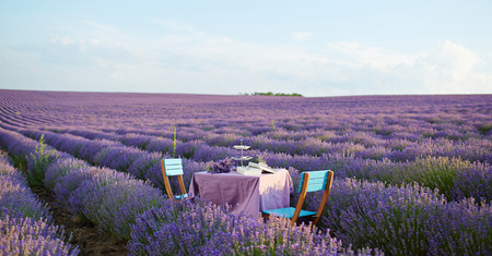 Table decoration in lavender flowers.の写真素材