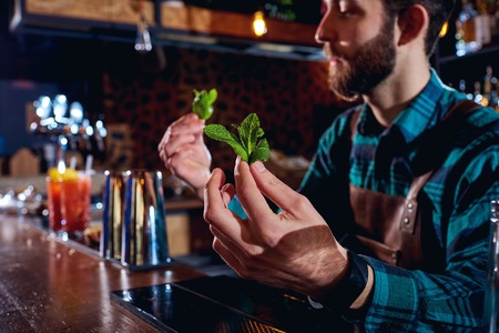 The bartender at bar holding a close-up of sprig of mint.の写真素材
