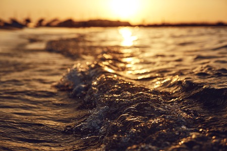 Sea wave on the beach at sunset.