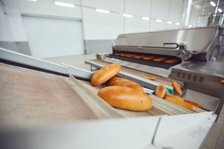 Raw bread on trays before baking in the oven at the bakery factory.の写真素材
