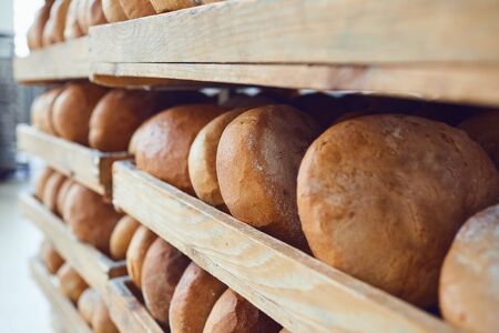 Tray with fresh bread close up. Production of bread and pastries in the bakery.の写真素材