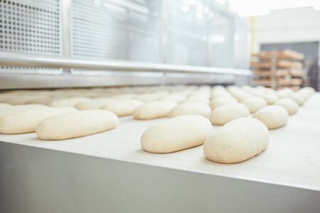 Fresh bread just baked in the bakery.