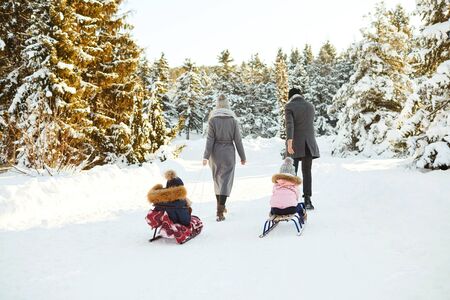 Happy family sledding in the park in winter. Mother and father and children play sledding in the snow in nature.の写真素材
