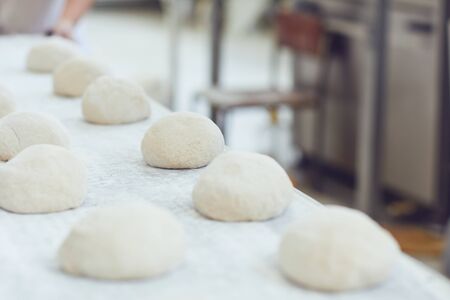 Raw bread on trays before baking in the oven at the bakery factory.の写真素材