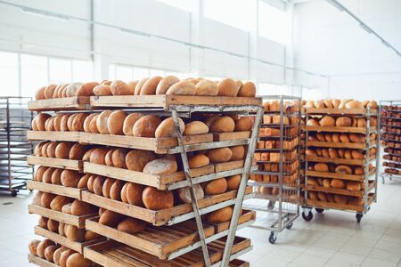 Tray with fresh brown bread at the bakery. Baking fresh bread in the oven at the factory.
