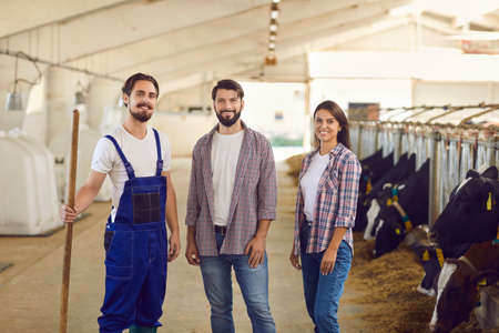 Group of three happy young dairy farm workers looking at camera and smiling after feeding the livestock and cleaning the cowshed on typical working dayの写真素材