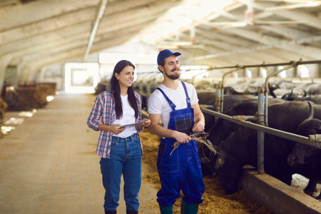 Happy smiling worker and livestock manager with tablet standing near stables with feeding black buffalos in big dairy farm barn. Milk industry, smart farming, digital technology in farming businessの写真素材