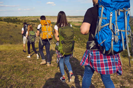 Group of young travelers hikers hiking with backpacks in row on nature together during summer...