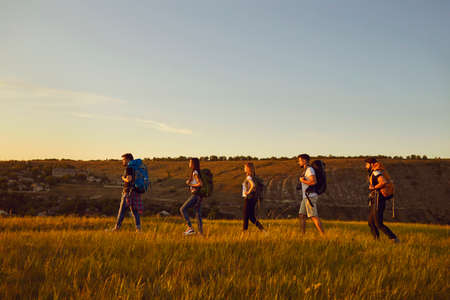 Group of young tourists hikers hiking in row with backpacks in summer field during vacationsの写真素材