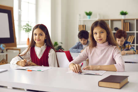 Back to school for education. Elementary or secondary class. Girl pupils sitting at desk with study accessory in classroom with classmates on background. Schoolgirls headshot portraitの写真素材