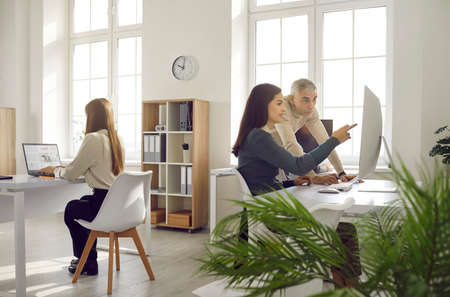 Business people working together in a cosy, bright, sunny modern office with some indoor plants. Busy male and female employees using a desktop computer while their colleague is working on her laptopの写真素材
