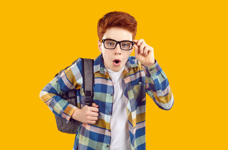 Wow, look at that. Portrait of surprised school child. Ginger student boy in casual plaid shirt and...
