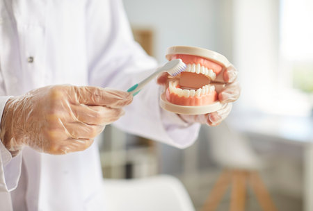 Professional hygienist showing how to brush teeth properly. Specialist in gloves holding a denture and cleaning them with a toothbrush. Dental care, oral hygiene, caries prevention conceptの写真素材