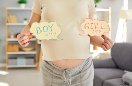 Cropped portrait of pregnant expectant woman holding two cards with inscription boy and girl guessing unborn baby gender standing in living room at home. Pregnancy and gender reveal conceptの写真素材