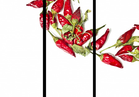 Red hot chili pepper on a white backgroundの写真素材
