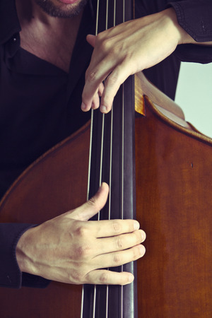 Close-up of double bass, wooden musical instrument that is played with a bowの写真素材