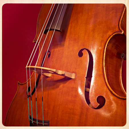 Close-up of double bass, wooden musical instrument that is played with a bowの写真素材