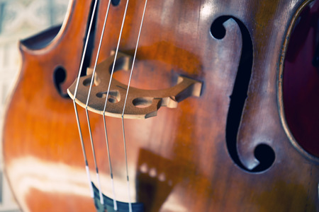 Close-up of double bass, wooden musical instrument that is played with a bowの写真素材