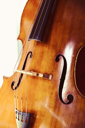 Close-up of double bass, wooden musical instrument that is played with a bowの写真素材