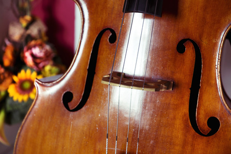 Close-up of double bass, wooden musical instrument that is played with a bowの写真素材