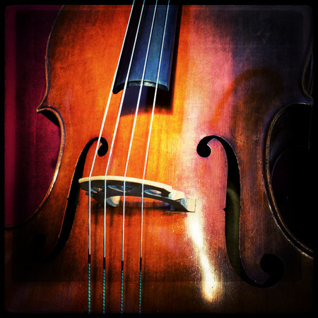 Close-up of double bass, wooden musical instrument that is played with a bowの写真素材
