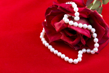 Beautiful red rose with necklace of pearlsの写真素材