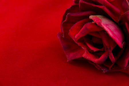 Heart's shape red velvet box with rose on red backgroundの写真素材