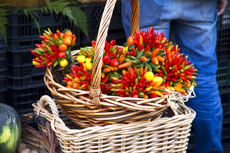 Hot pepper and garlic at marketの写真素材