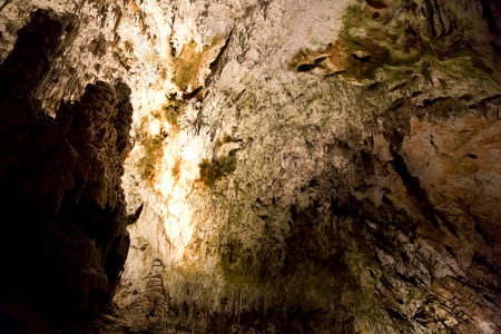 Postojna grotte in Sloveniaの写真素材