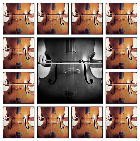 Close-up of double bass, wooden musical instrument that is played with a bowの写真素材