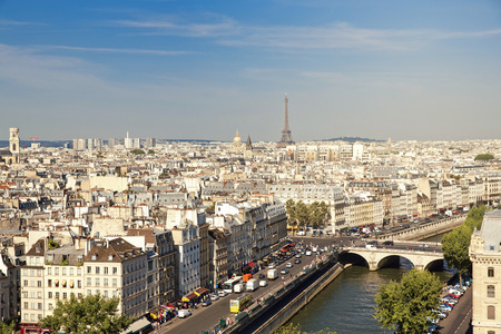Notre Dame of Paris: Famous Chimera, demon, overlooking the Eiffel Tower at a summer dayのeditorial素材