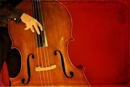 The Double bassの写真素材