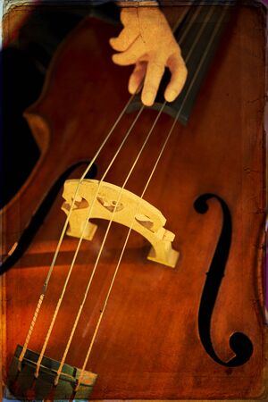 The Double bass