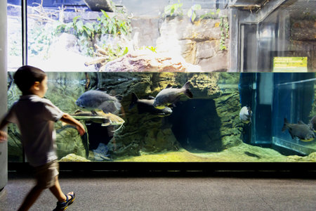 Genoa, Liguria, July 19, 2019: visiting the aquarium of Genoa, Liguria, Italyのeditorial素材