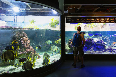 Genoa, Liguria, July 19, 2019: visiting the aquarium of Genoa, Liguria, Italyのeditorial素材
