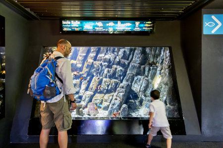 Genoa, Liguria, July 19, 2019: visiting the aquarium of Genoa, Liguria, Italy