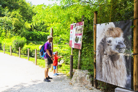 Bussolengo, Verona, July 20, 2019: family visits Bussolengo zoo, Verona, Italy