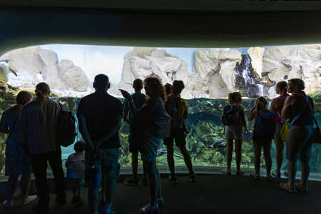 GENOVA, ITALY, 19 JULY 2019: A visit in the famous The Aquarium of Genoa, the largest aquarium in Italy and among the largest in Europe. The arctic habitat of the penguins recreated in the aquarium of Genoaの写真素材