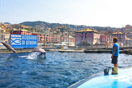 GENOVA, ITALY, 19 JULY 2019: A visit in the famous The Aquarium of Genoa. Dolphin show at the Genoa Aquarium. Beautiful view of the Genoa aquarium. Great variety of aquatic animals.の写真素材