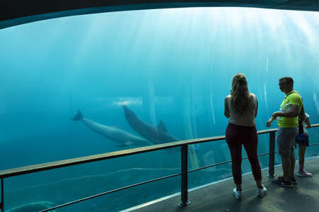 GENOVA, ITALY, 19 JULY 2019: A visit in the famous The Aquarium of Genoa, the largest aquarium in Italy and among the largest in Europe. Beautiful view of the Genoa aquarium. Great variety of aquatic animals.の写真素材