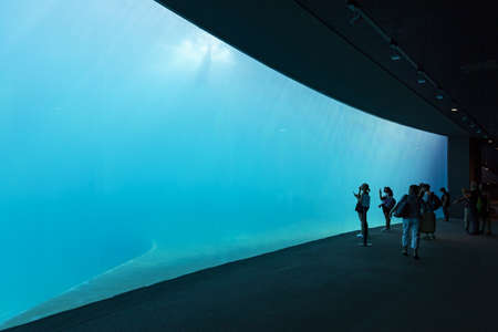 GENOVA, ITALY, 19 JULY 2019: A visit in the famous The Aquarium of Genoa, the largest aquarium in Italy and among the largest in Europe. Beautiful view of the Genoa aquarium. Great variety of aquatic animals.のeditorial素材