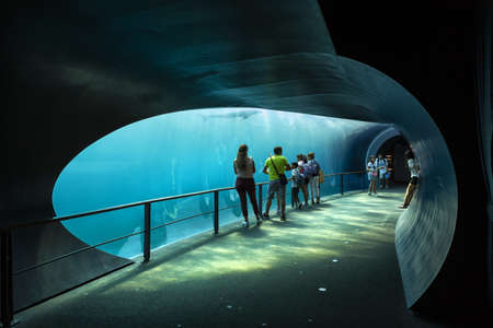 GENOVA, ITALY, 19 JULY 2019: A visit in the famous The Aquarium of Genoa, the largest aquarium in Italy and among the largest in Europe. Beautiful view of the Genoa aquarium. Great variety of aquatic animals.のeditorial素材