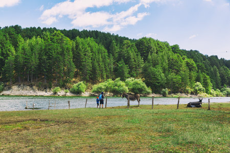 Cecita Lake. The Sila National Park located in Camigliatello Silano. Italyの写真素材