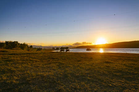 The Sila National Park located in Camigliatello Silanoの写真素材