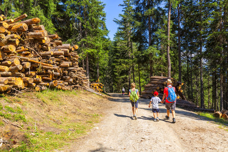 SOUTH TYROL, ITALY 2022, August 12: Wonderful mountain trekking route in South Tyrol. Beautiful natural landscapes. Nature and sportのeditorial素材