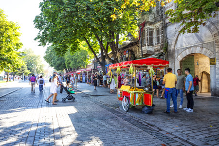 ISTANBUL, TURKEY 2023, August 06: Tourists and vendors in Sultanahmet Park in the Byzantine...