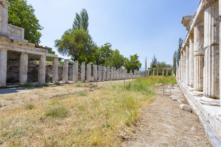 Aphrodisias is a Greco-Hellenistic city of Caria, in the Meander Valley, in Turkeyの写真素材
