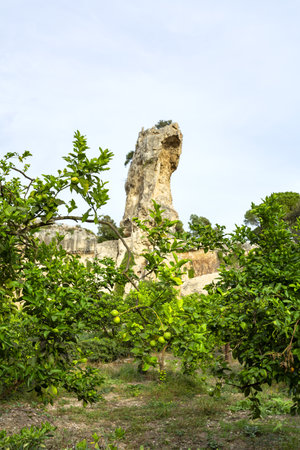 The garden area in the Latomie area in the Archaeological Park of Syracuse, Sicilyの写真素材